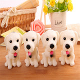 Hayley's Toy Collection By Project Pet Lovers Club