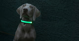 Safety Pet Collar With LED And Printed Design By I Love Dogs Society