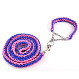 Big Dog Plaited Leash And Collar Set